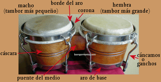 Bongomania Bongos Bongo Drums